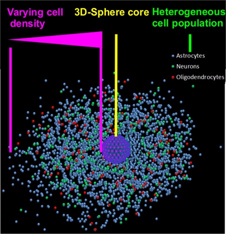 Challenges of the neurosphere assay: In the center of the image the 3D-neurospere core is represented as a purple spheroid.