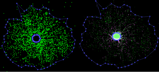 Assessment of the migration distance: The left image shows the point cloud of the centroids of identified nuclei.